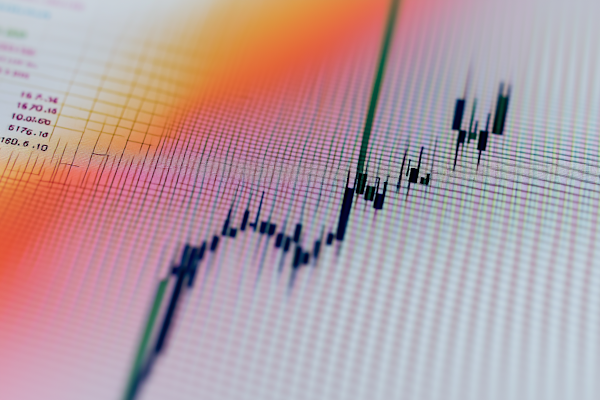 Investment portfolio diversification and wealth building case study